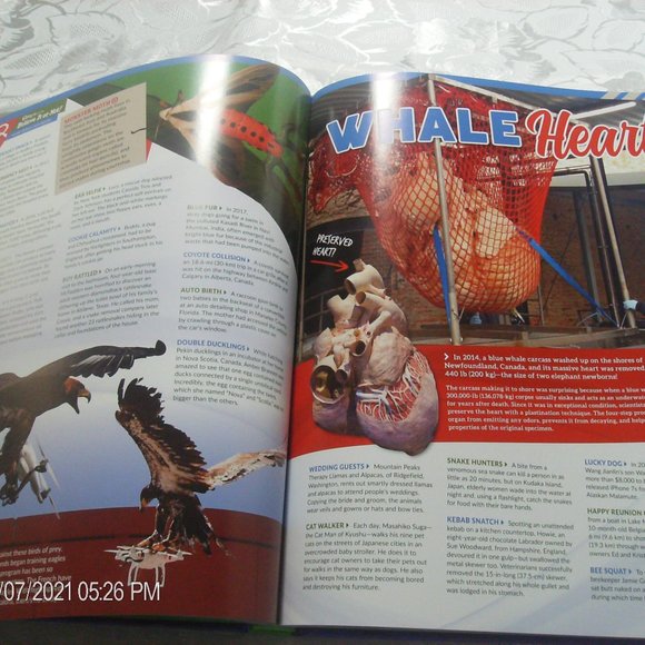 Ripley's Believe it or not 2019 Hardcover - Picture 10 of 12